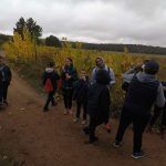 IMG-20191103-WA0029