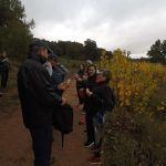 IMG-20191103-WA0036