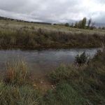 IMG-20191103-WA0048