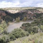 IMG-20191103-WA0069